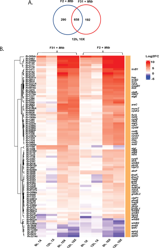 Fig. 4: