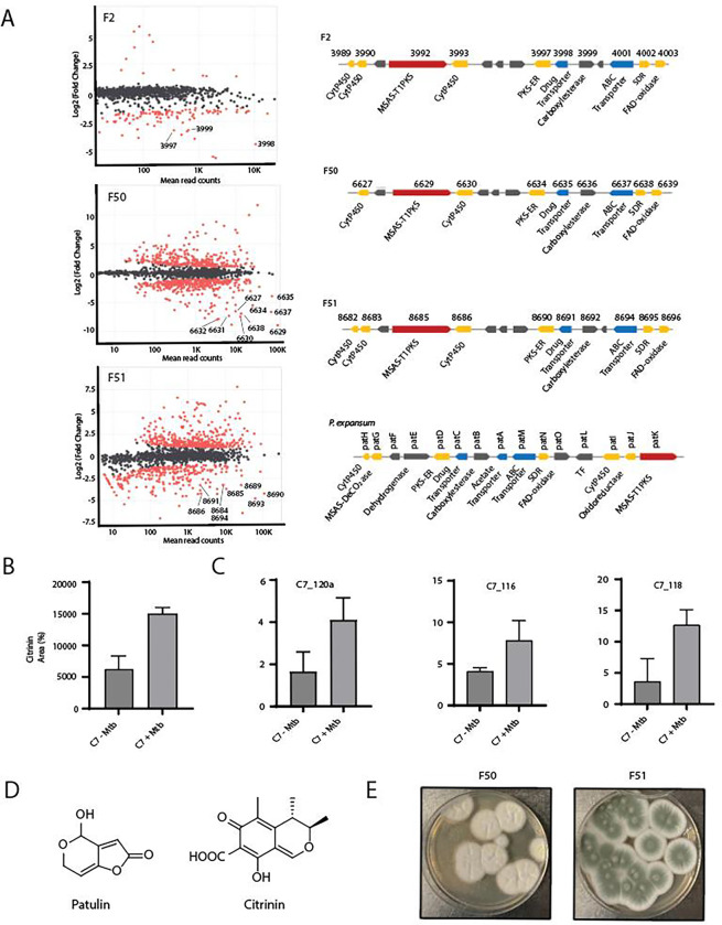 Fig. 2: