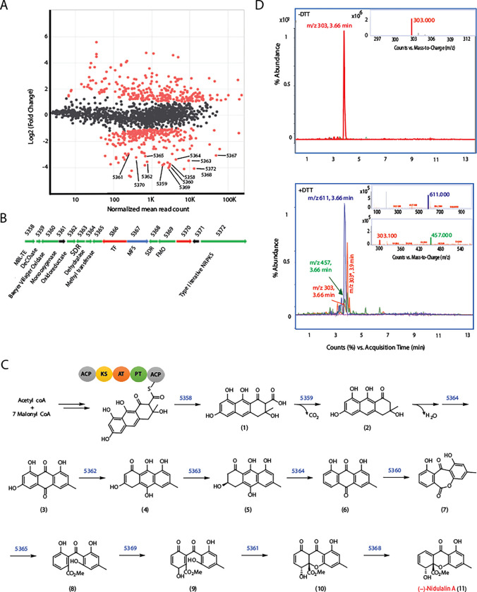 Fig. 3: