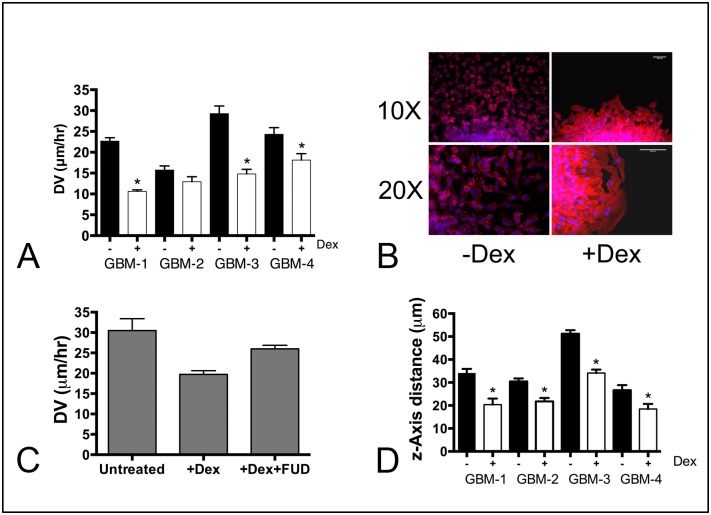 Fig 6