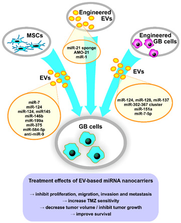 graphic file with name pharmaceutics-16-01336-i001.jpg