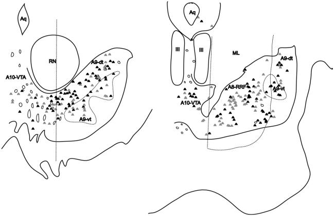 Fig. 11