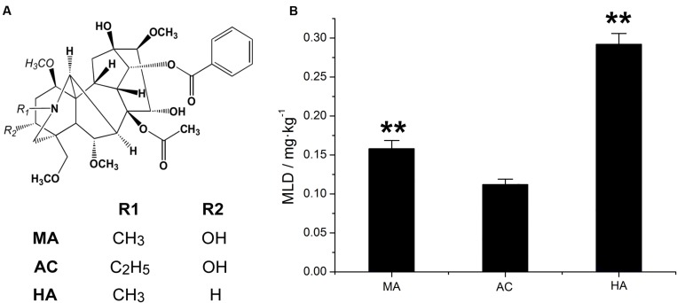 FIGURE 3