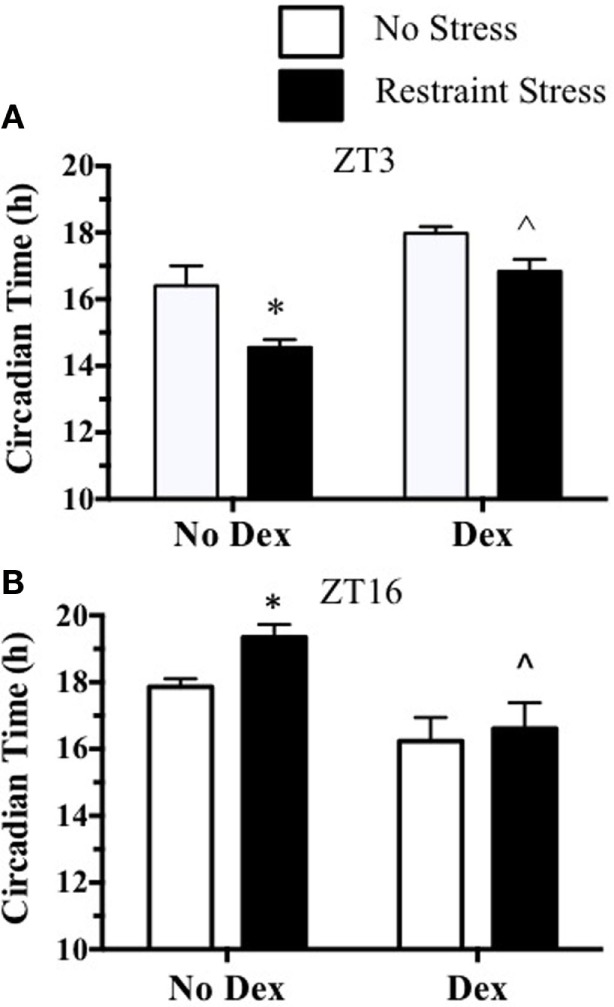 Figure 6