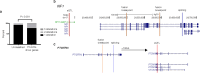 Extended Data Fig. 24