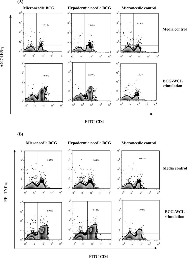 Fig 6