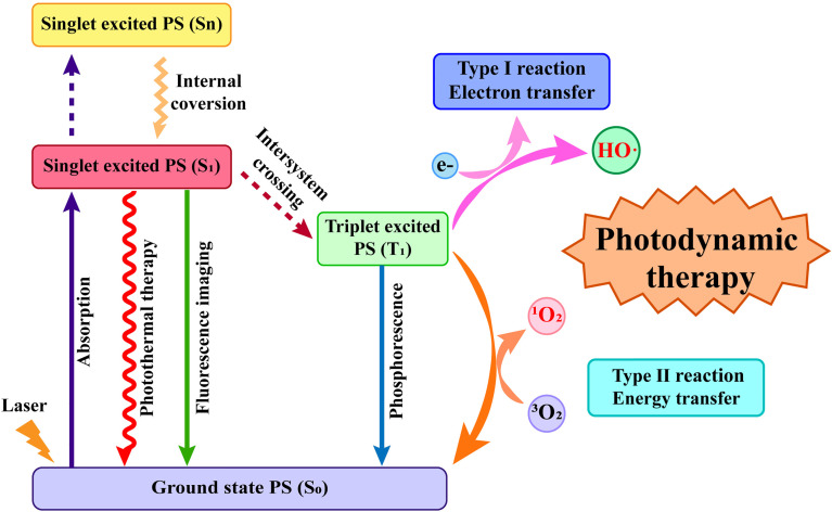 Figure 1