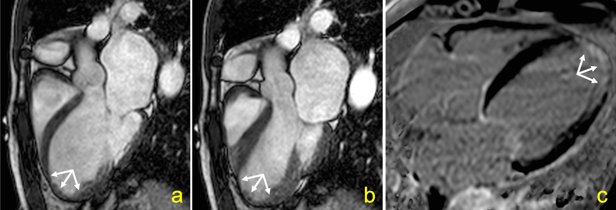 Fig. 6