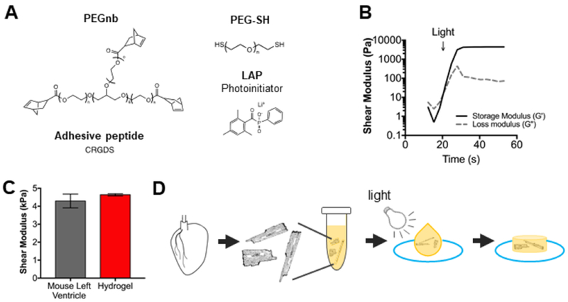 Figure 1: