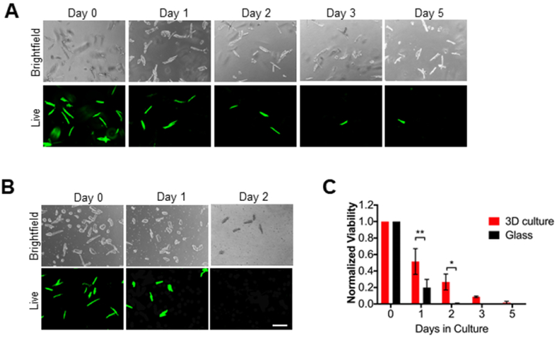 Figure 2: