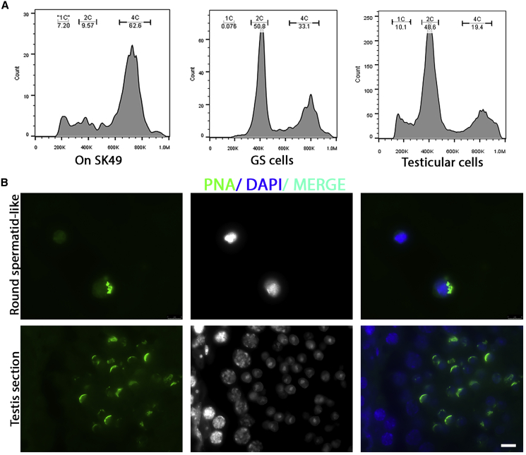 Figure 6