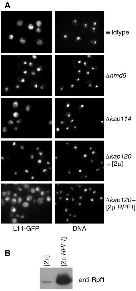 FIG. 7.