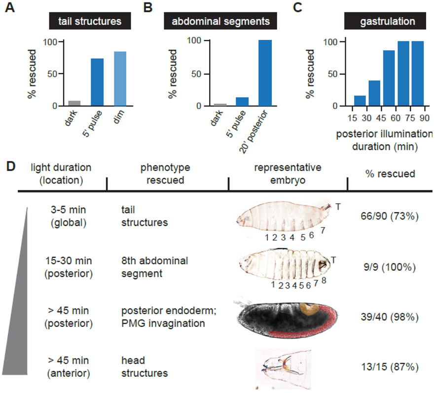 Figure 4: