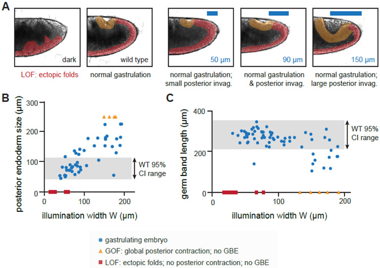 Figure 5: