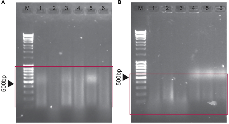 Figure 3