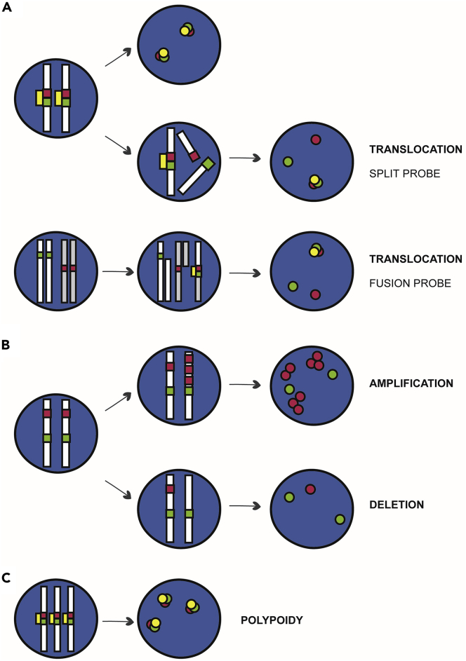 Figure 7