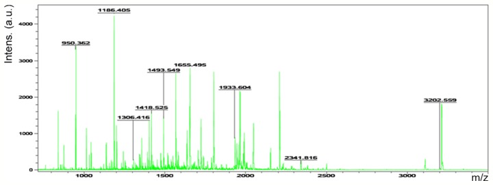 Figure 5.