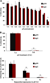 FIG 3