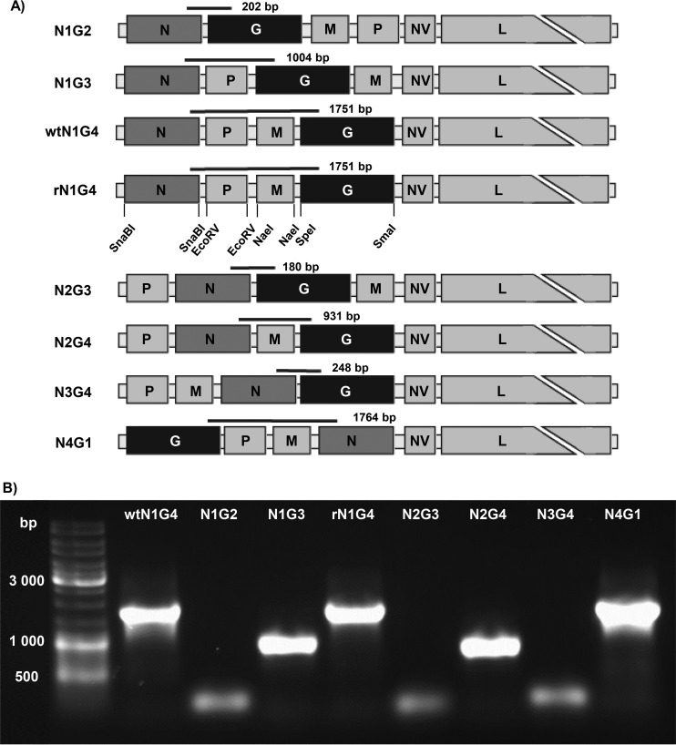 FIG 1