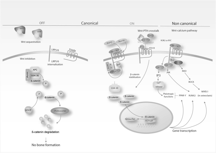 Fig. 2