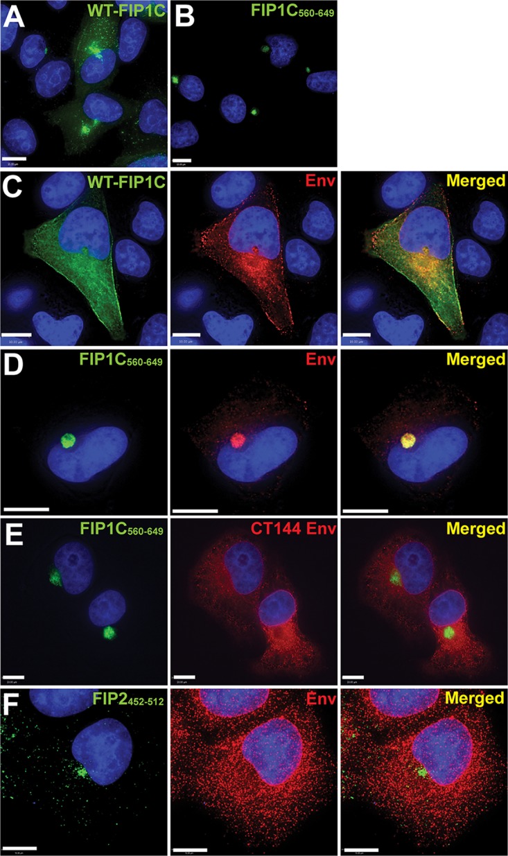 FIG 2