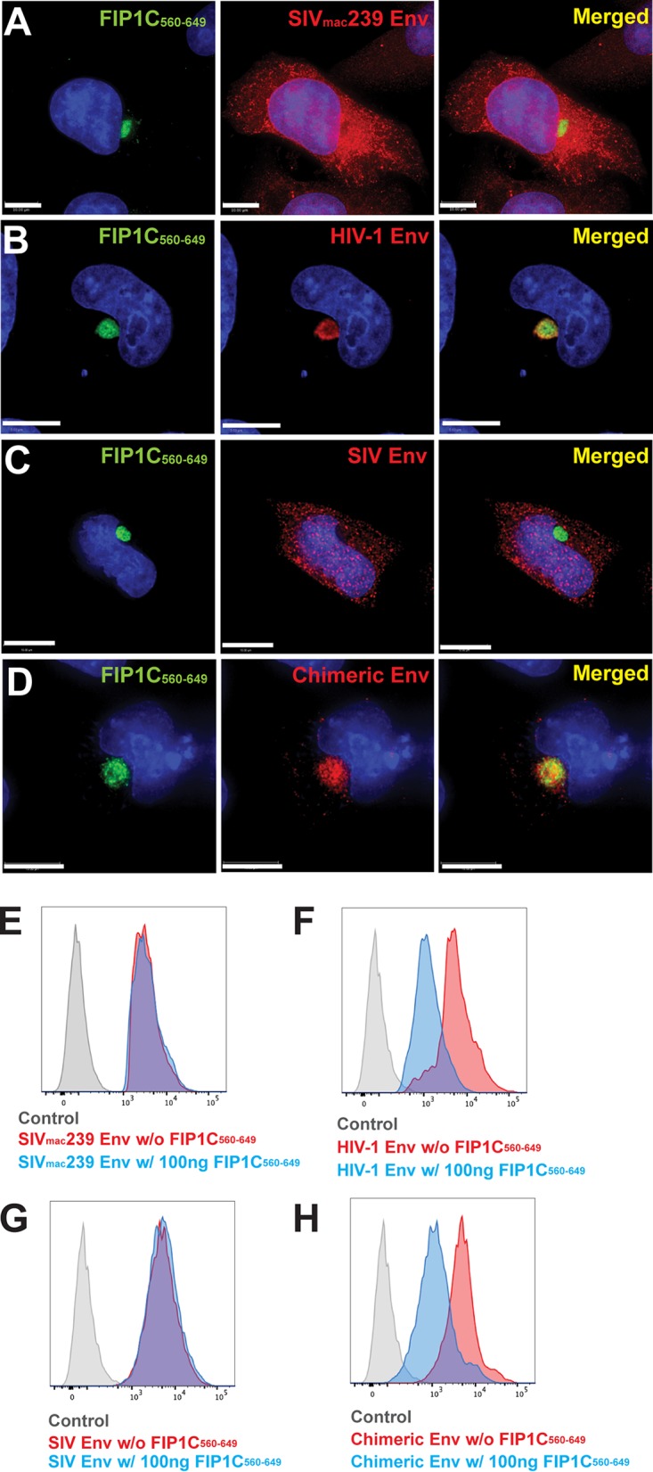 FIG 6