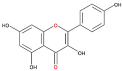 graphic file with name nutrients-12-03867-i017.jpg