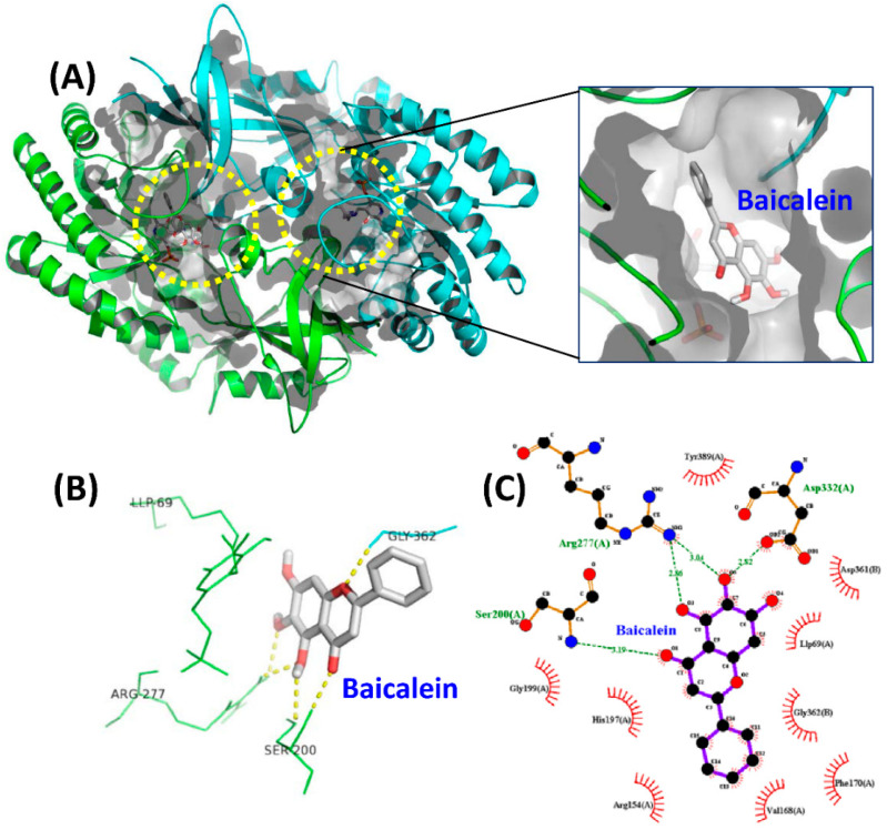 Figure 4