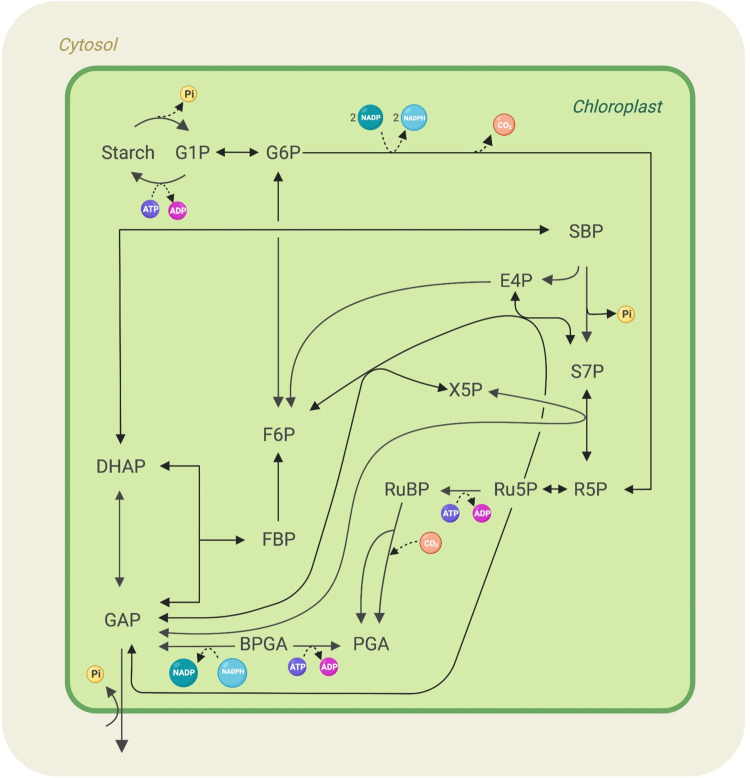 Fig 2