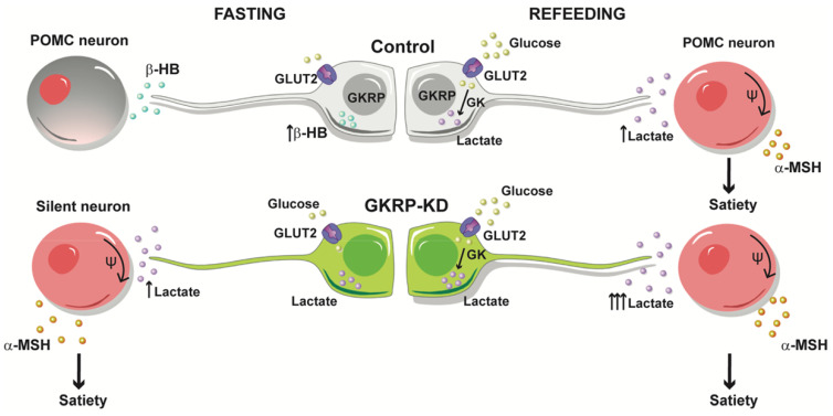 Fig 10