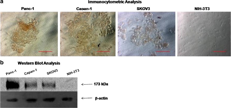 Fig. 3