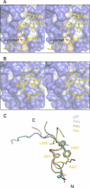 FIGURE 3.