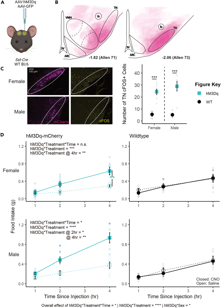 Figure 1