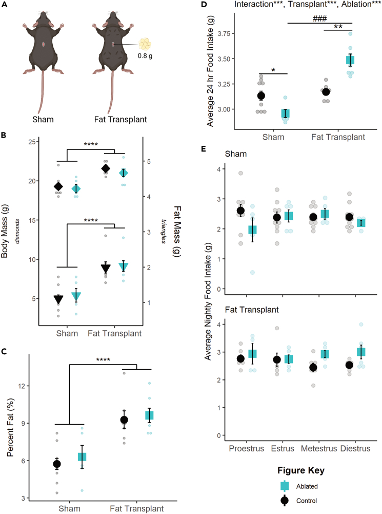 Figure 6