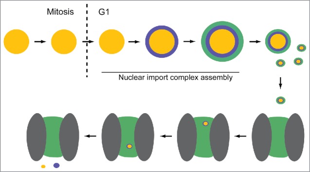 Figure 6.