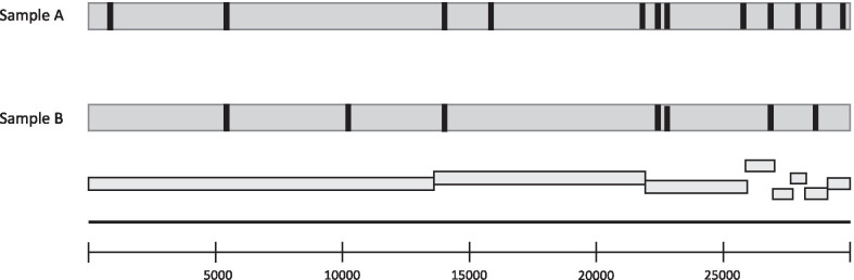 Fig. 2