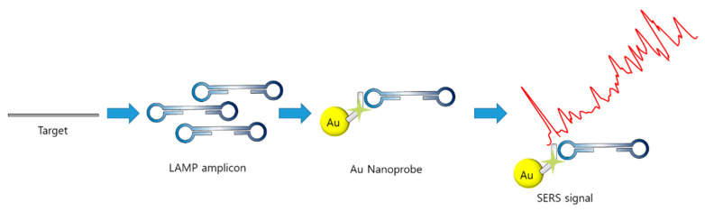 Figure 11