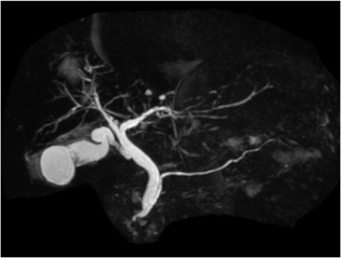 Fig. 5