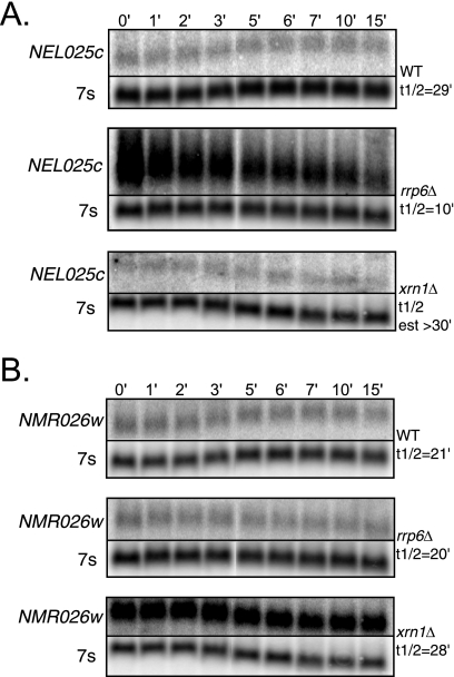 FIG. 5.