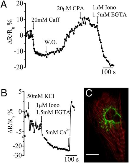 Fig. 4.