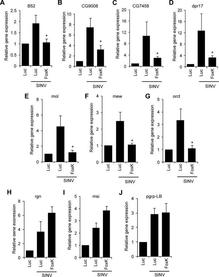 FIG 3 