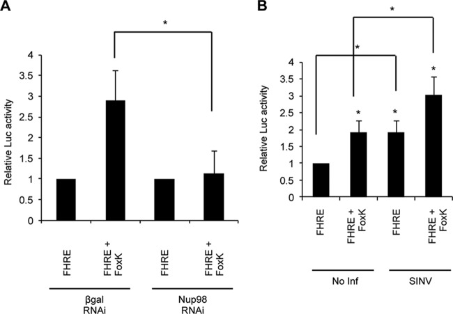 FIG 4 