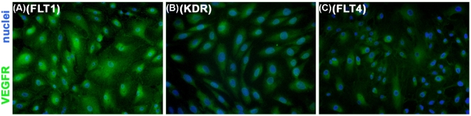 Figure 4.