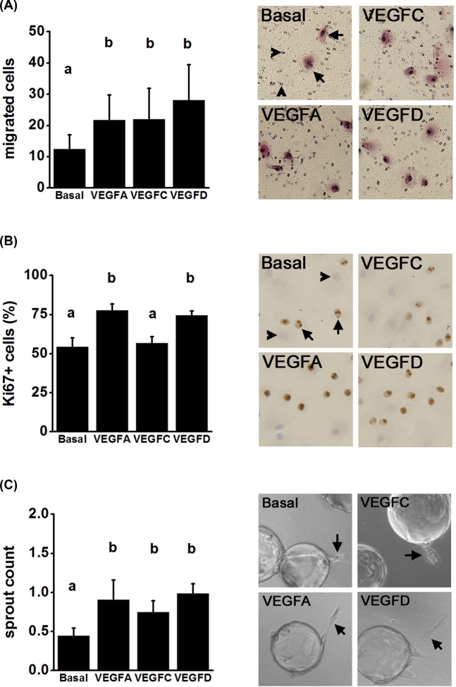 Figure 6.