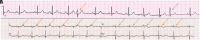 Figure 2.(