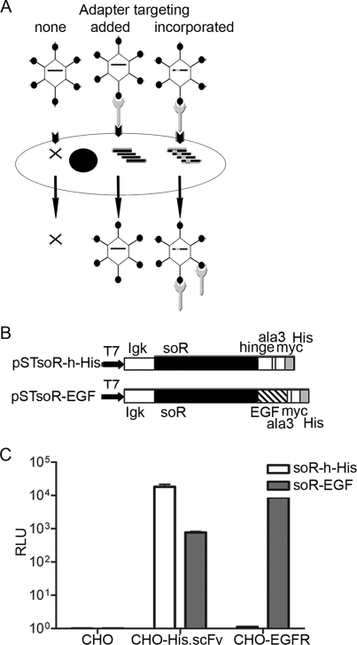 FIG. 1.