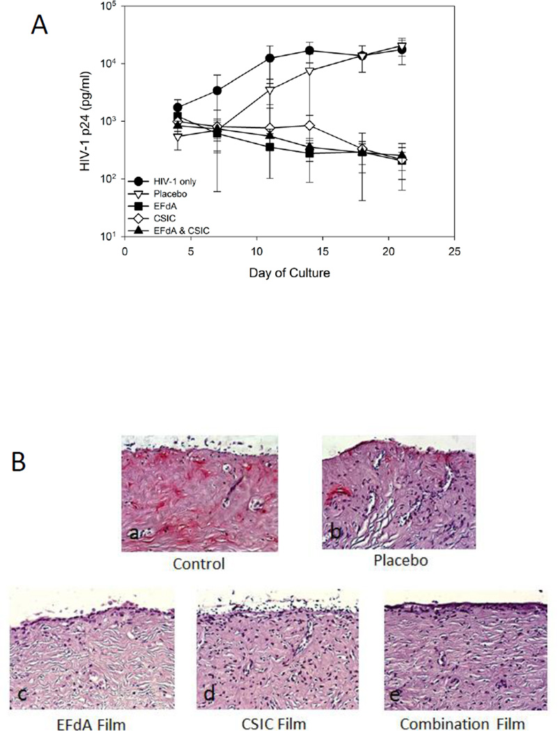 Fig.8