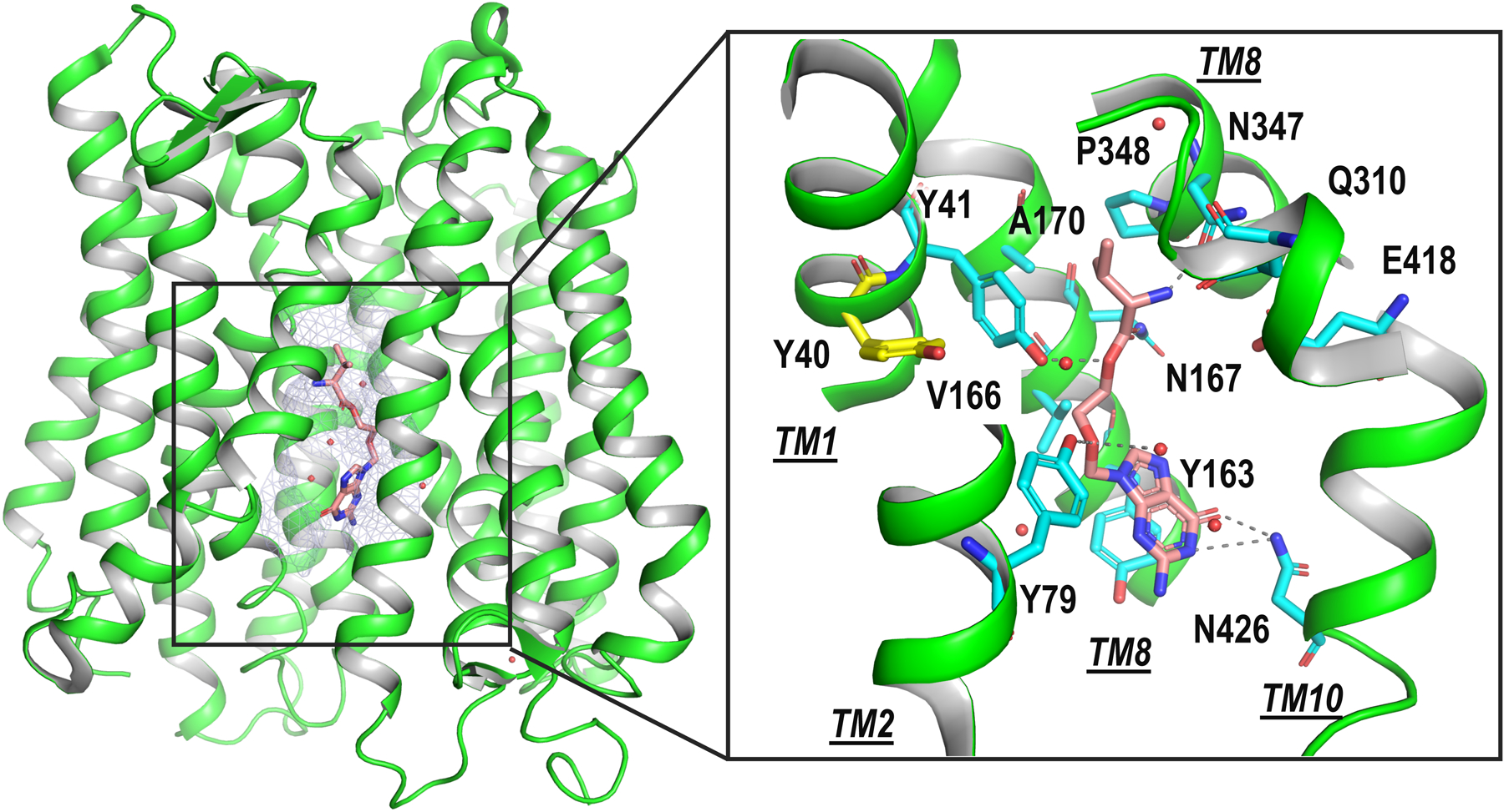 Fig. 3.