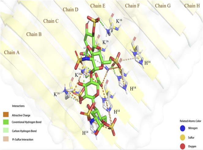 FIGURE 2