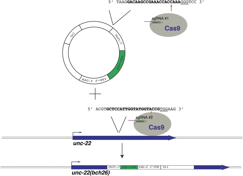 Figure 2